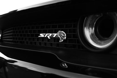 Pure Muscle